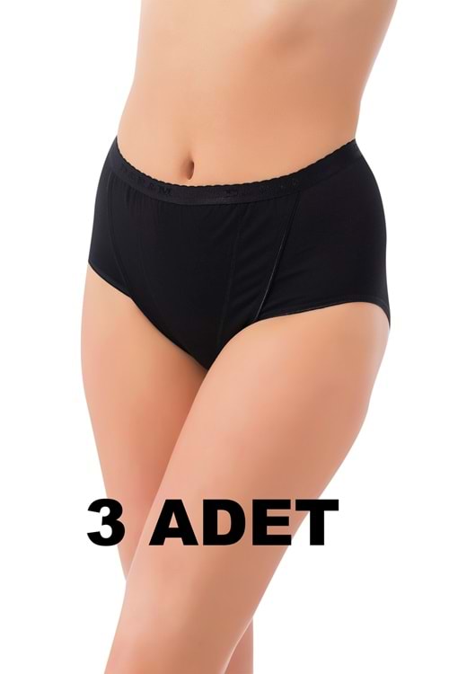 LuxDrm 3 Adet 491 Kadın Toparlayıcı Bato Külot Siyah ld4